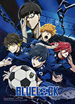 Blue Lock - Team Isagi Wall Scroll 43L" x 31W"