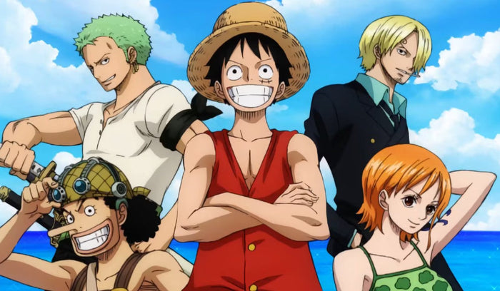 One Piece Merch