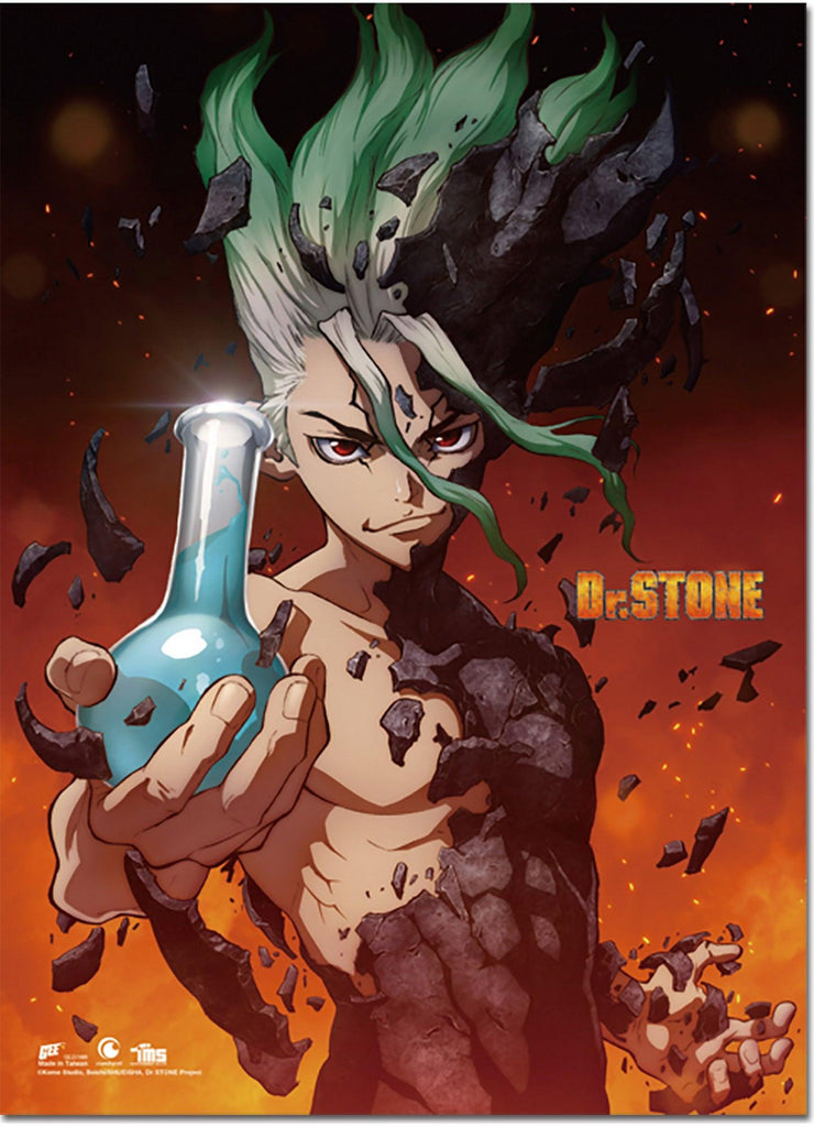 Dr. Stone- Senku Ishigami Wall Scroll