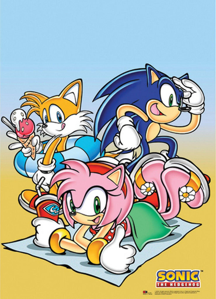 Sonic The Hedgehog Beach Group Wall Scroll