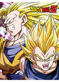 Dragon Ball Z - Son Goku & Vegeta With Dragon Balls Sublimation Throw Blanket 46"W x 60"H