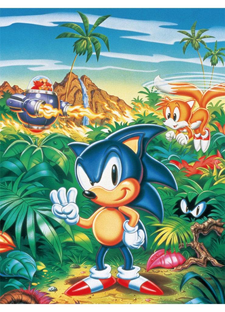 Sonic Hedgehog- Sublimation Throw Blanket