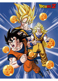 Dragon Ball Z - Son Goku 3 Form 3 Sublimation Throw Blanket 46"W x 60"H