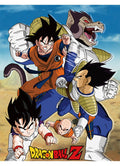 Dragon Ball Z - Group 3 Sublimation Throw Blanket
