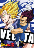 Dragon Ball Z - Vegeta Wall Scroll - Great Eastern Entertainment