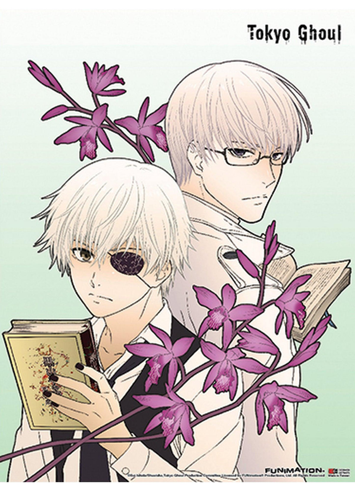 Tokyo Ghoul- Kaneki & Arima Fabric Poster