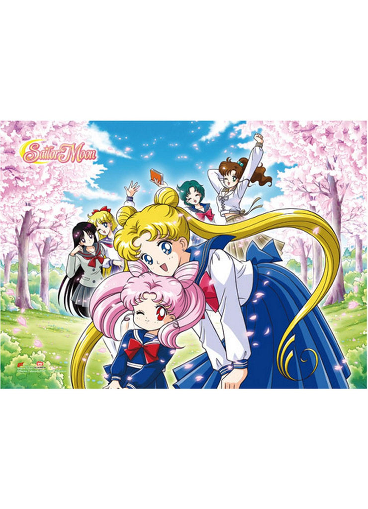 Sailor Moon R - Group Hi-End Wall Scroll - Great Eastern Entertainment