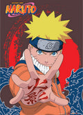 Naruto - Naruto Uzumaki Wall Scroll